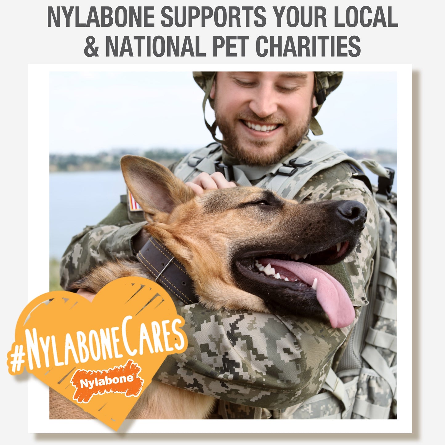 Nylabone Healthy Edibles Puppy AnimalShaped Lamb Apple Dog Chew Treats Lamb Apple, XL/Souper 50 Lbs. 1 ct