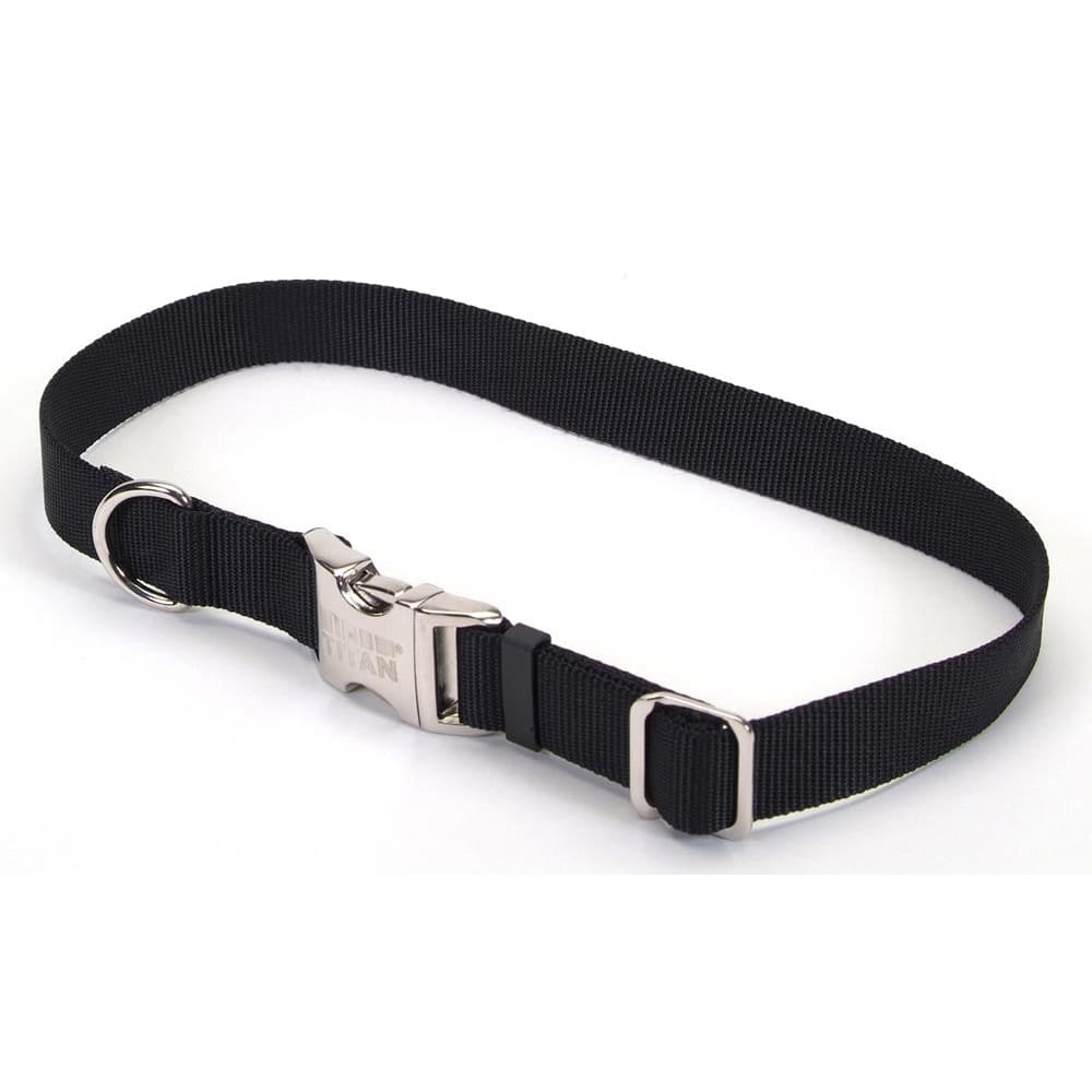 Coastal Adjustable Nylon Dog Collar with Titan Metal Buckle Black 1ea/1 In X 14-20 in