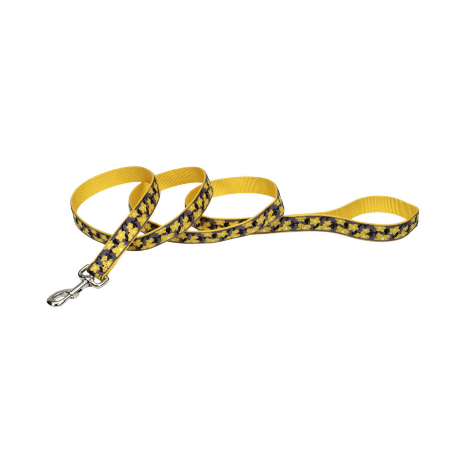 Ribbon Nylon Dog Leash Yellow, 1ea/1 In X 6 ft