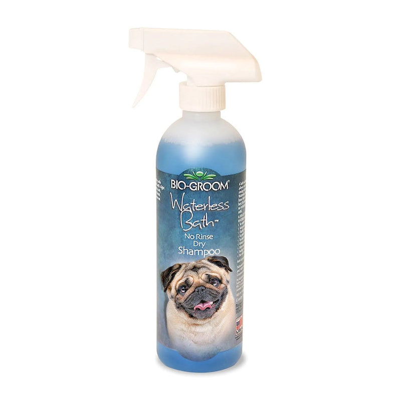 BG Waterless Shampoo