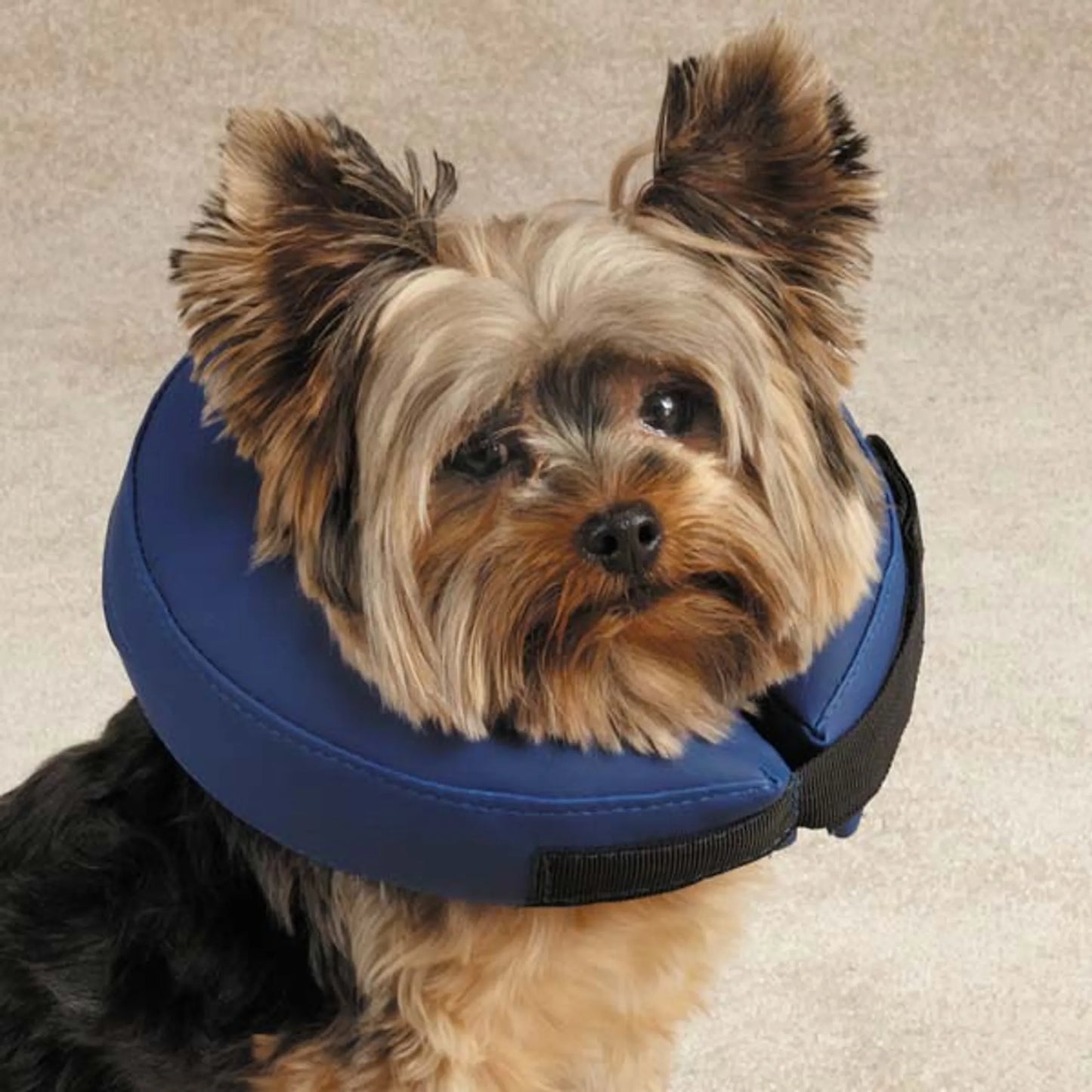 Inflatable Collar