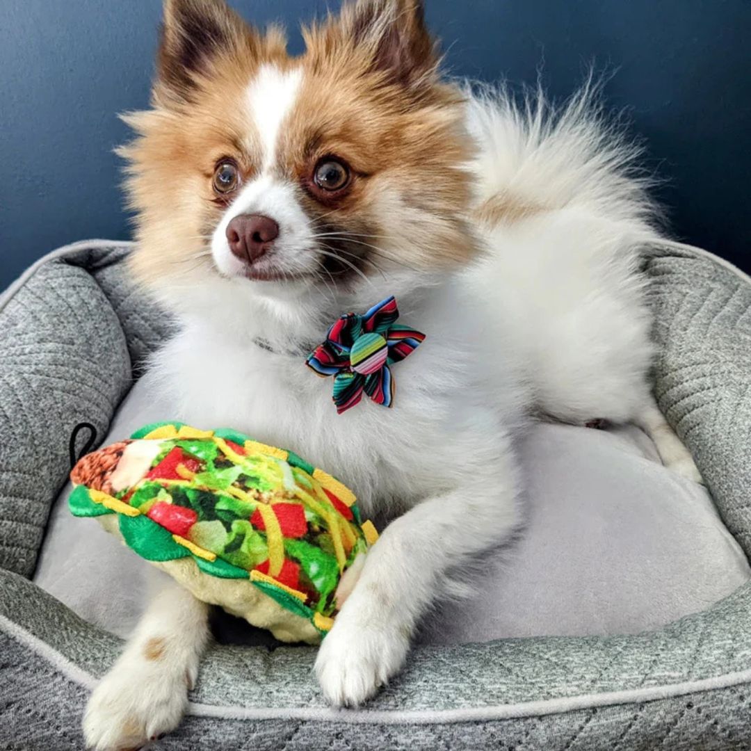 H&K Power Plush Dog Taco Tuesday Large Squeak Crinkle