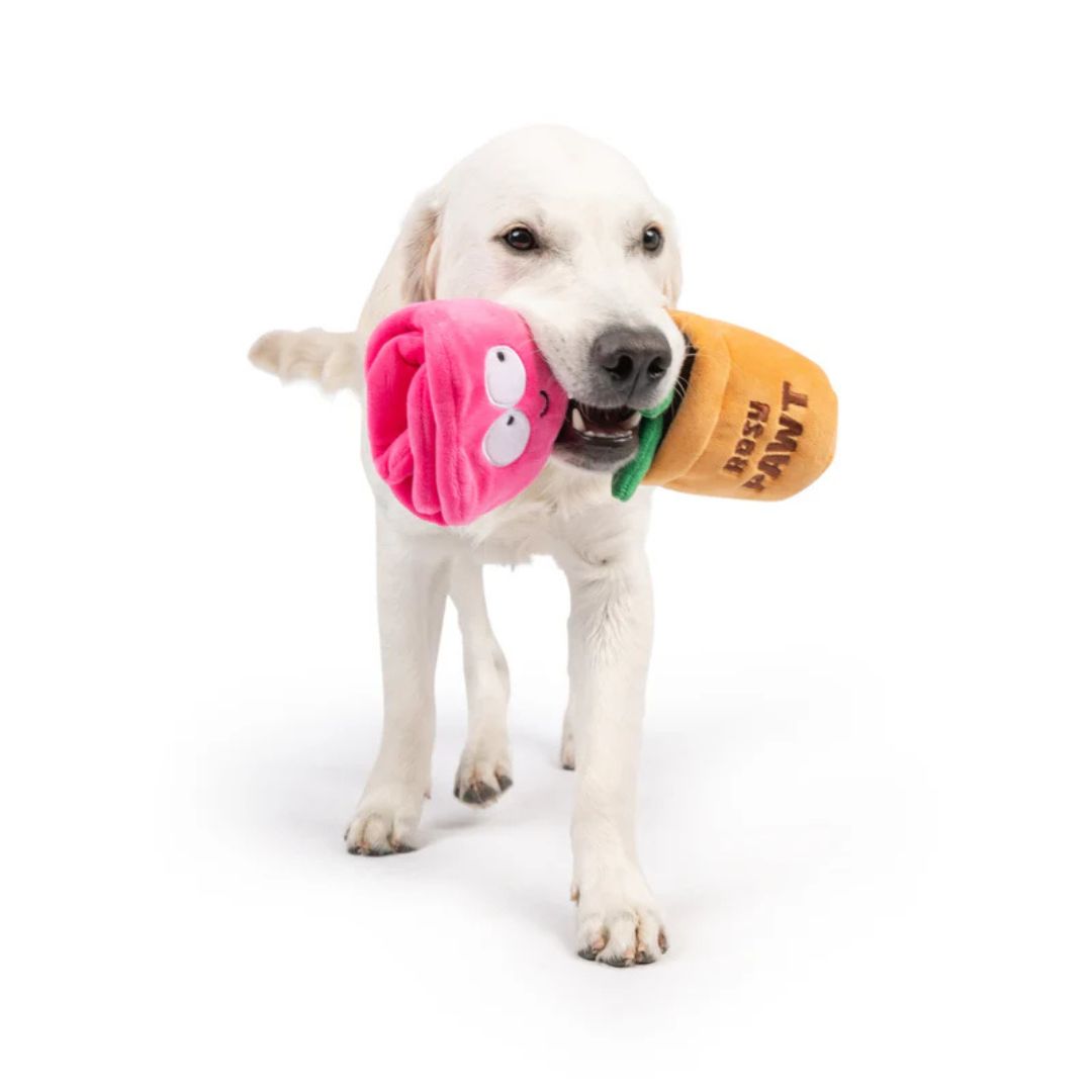 H&K Seek 'N Treat D Rosie Pawt Small Plush Squeak Crinkle