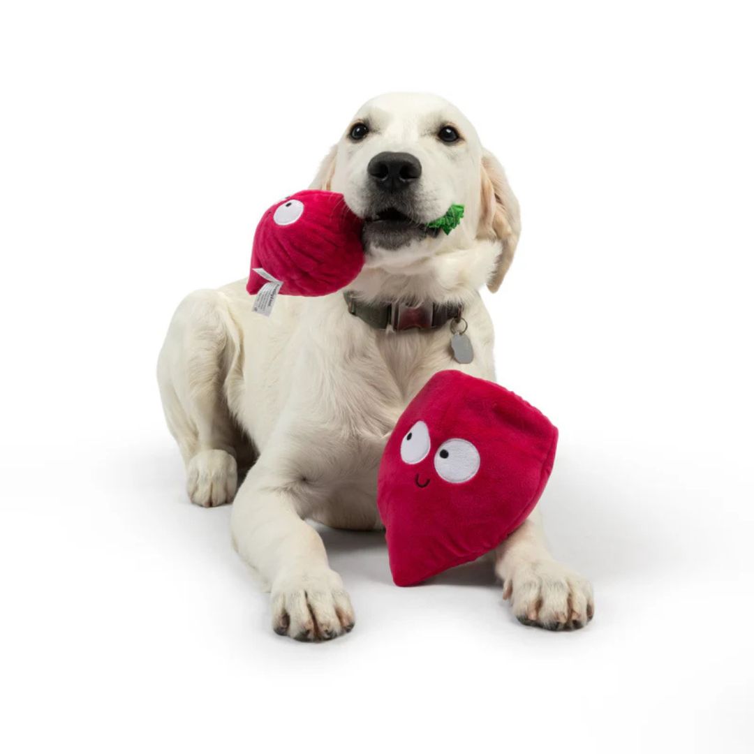 H&K Pop 'N Fetch D Beet Large Plush Squeak Crinkle