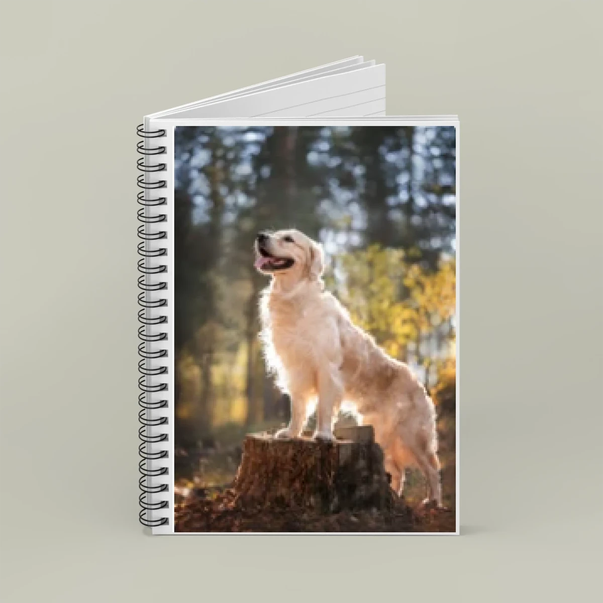 Custom Note Book