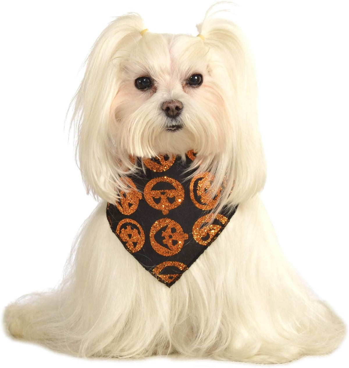 Rubies Glitter Pumpkin Bandana M-L