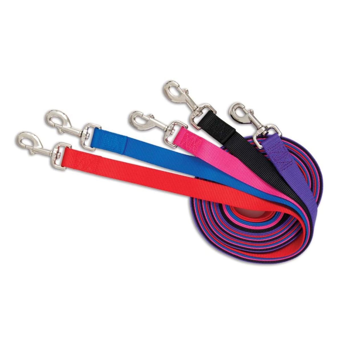 Aspen Core Nylon Dog Leash Red 1ea/5/8In X 5 ft, MD