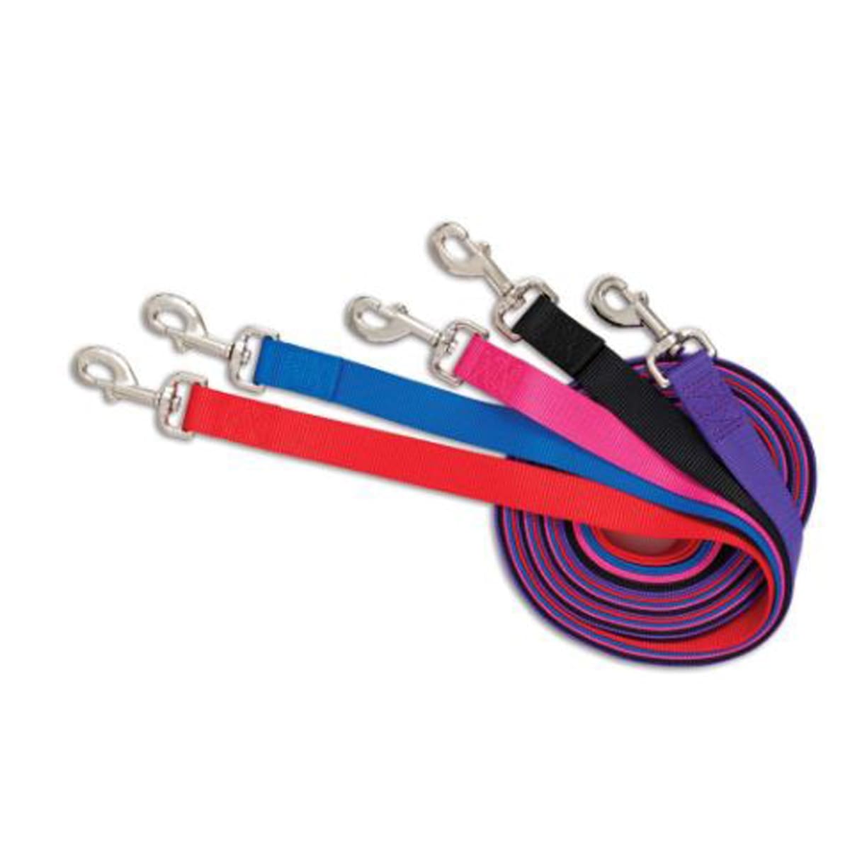 Aspen Core Nylon Dog Leash Royal Blue 1ea/5/8In X 5 ft, MD