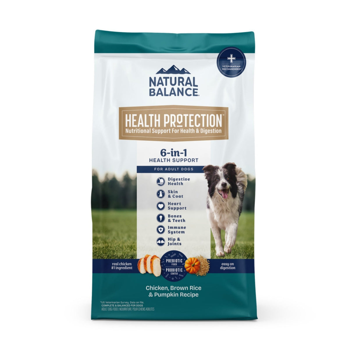 Natural Balance Pet Foods Health Protection Dry Dog Food Chicken, Rice Pumpkin, 1ea/24 lb