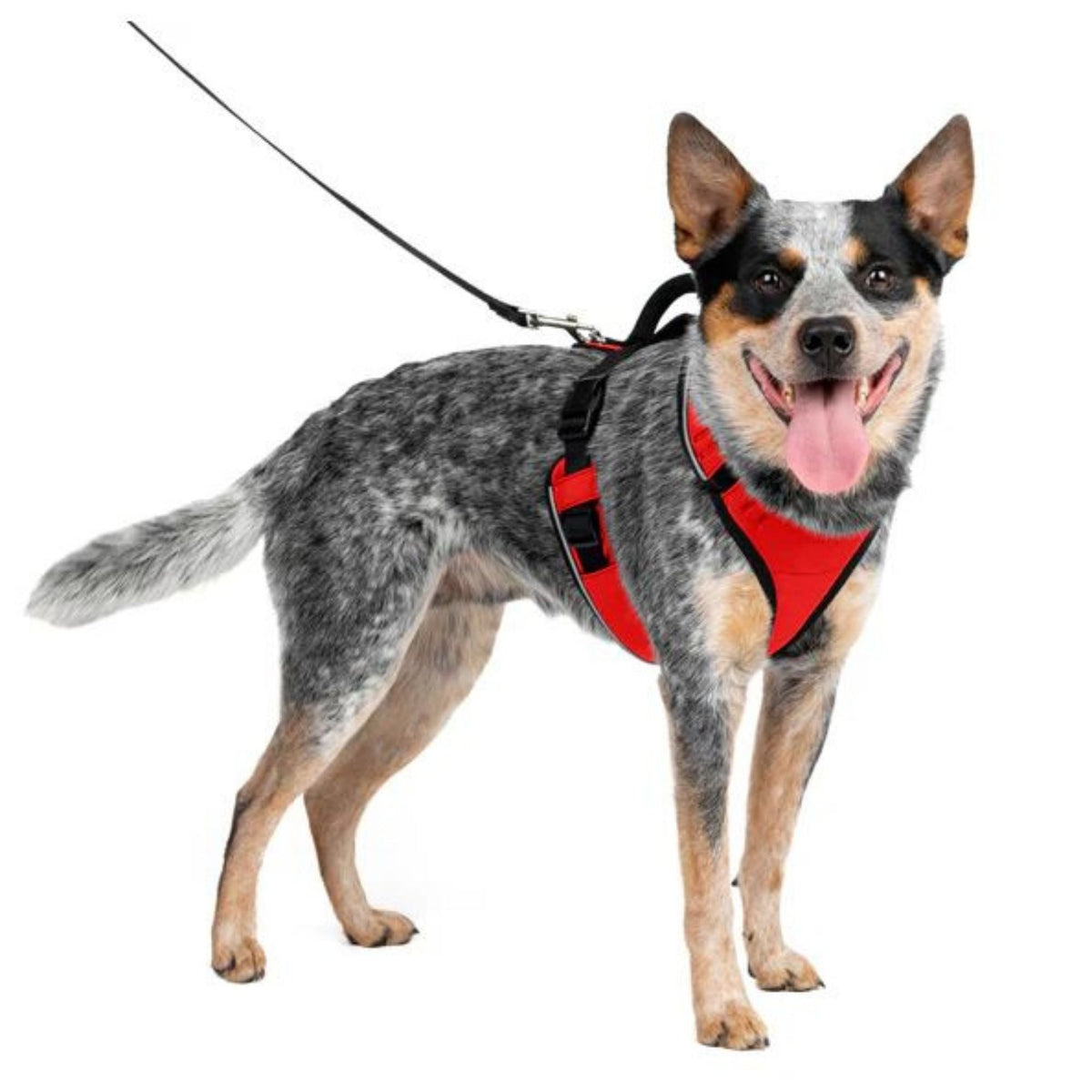 Petsafe Dog Easy Sport Harness Red Large
