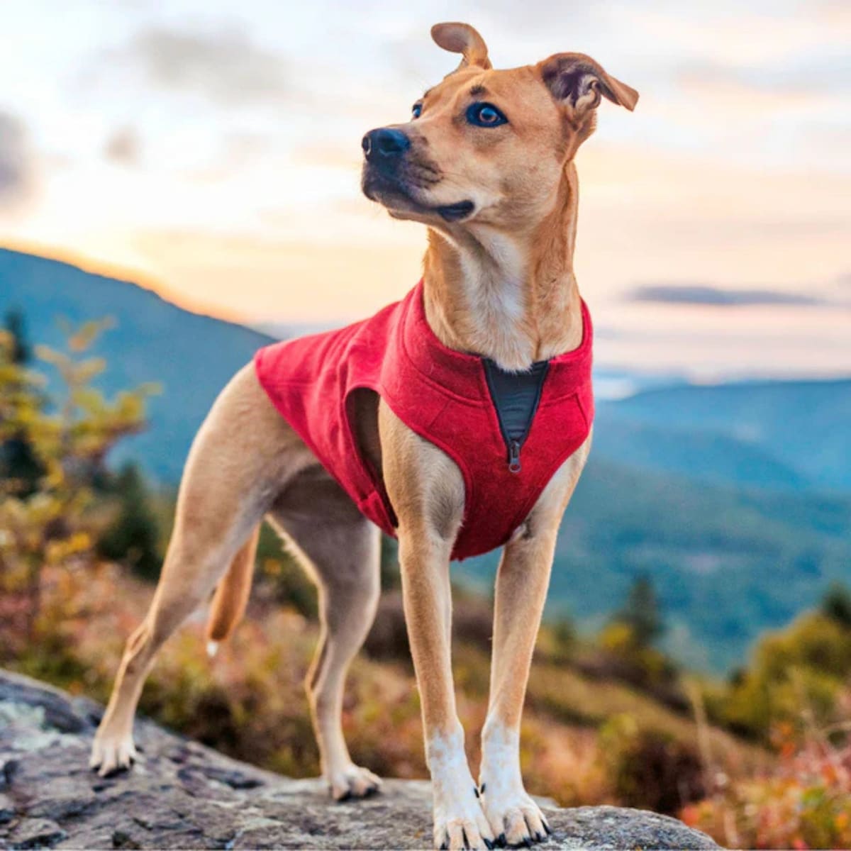 Kurgo Dog Core Sweater Heather Red Small