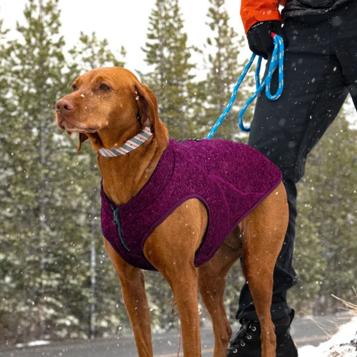 Kurgo Dog Core Sweater Heather Violet Large