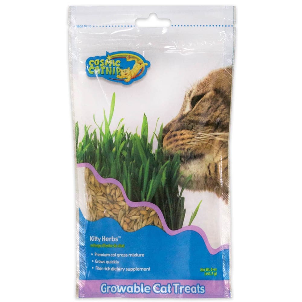 OurPets Kitty Herbs Growable Cat Grass 1ea/5 oz