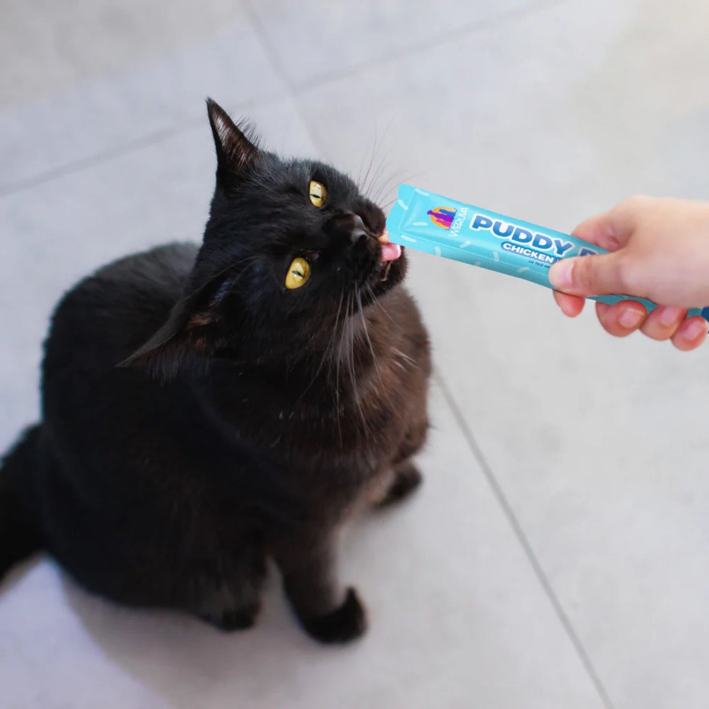 Weruva Cat Puddy Pops Lickable Treat Tuna & Salmon - (Pack of 5)
