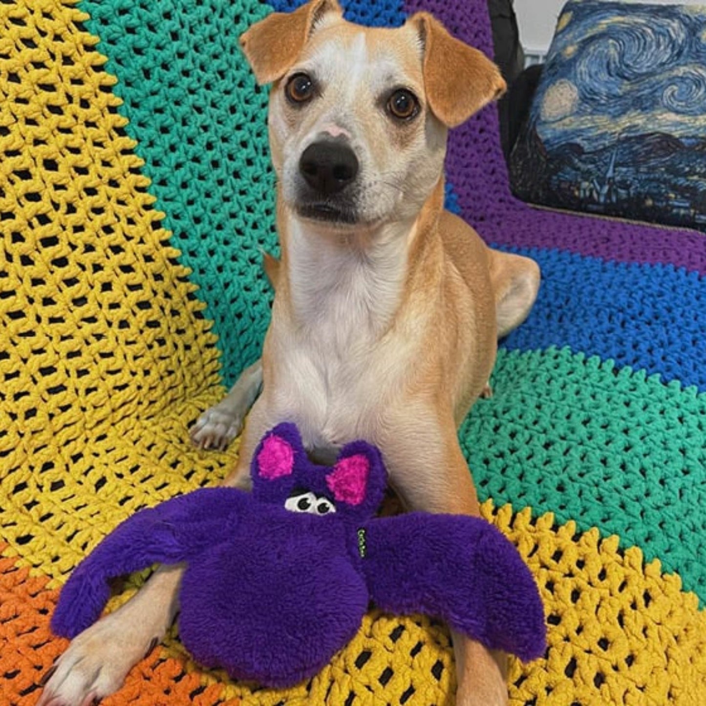 Cycle Dog Duraplush Bat Dog Toy Purple Small