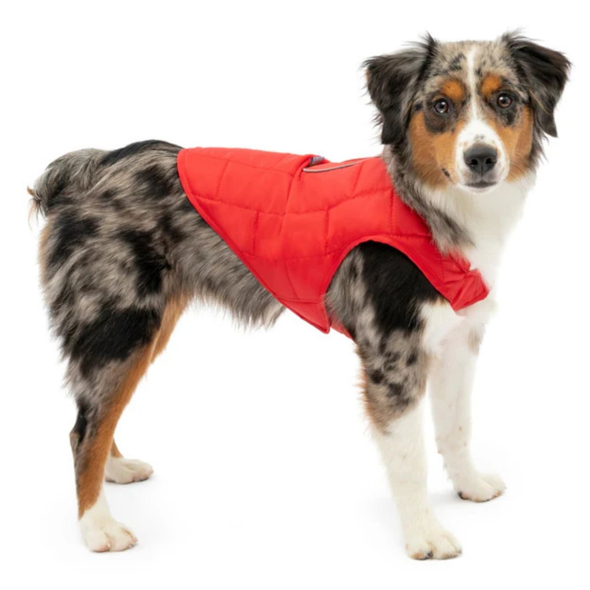 Kurgo Dog Loft Jacket Red Large