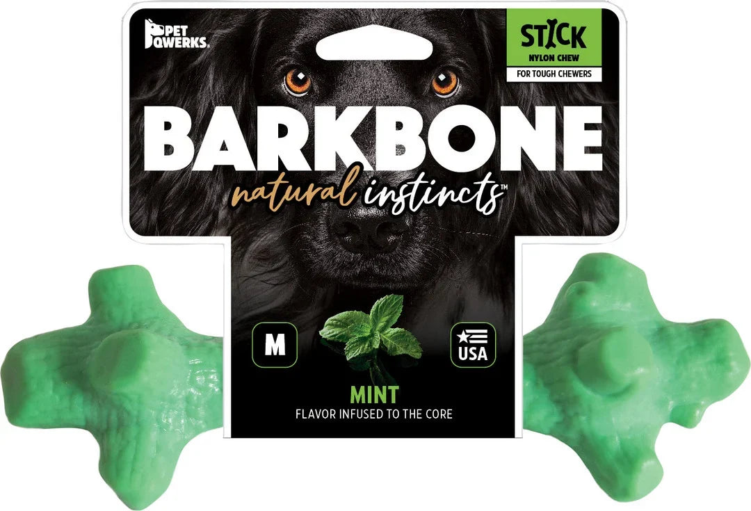 Pet Qwerks Dinosaur Barkbone Breath Stick Mint Medium