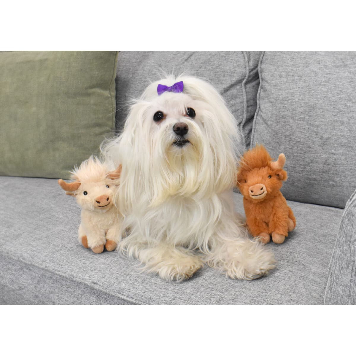 Multipet Highland Cow 1ea/ 5"