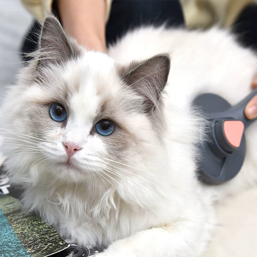 Pet shedding Comb