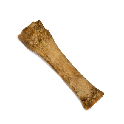 Nylabone Healthy Edibles AllNatural Long Lasting Bacon Chew Treats 1 Count, Souper  50 lb
