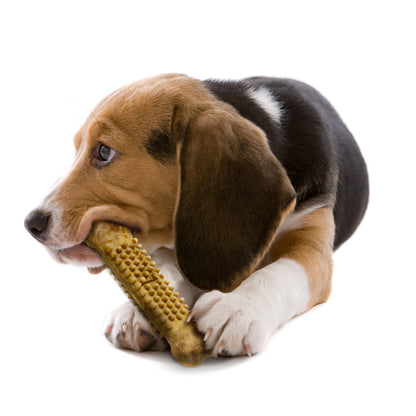 Nylabone Natural Nubz Chicken Dog Treats Chicken, Large  30 Lbs. 2 ct