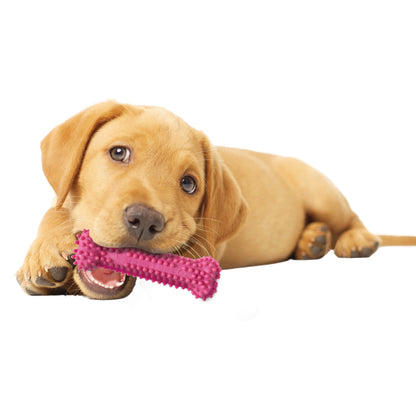 Nylabone Puppy Chew Variety Toy  Treat Triple Pack Chicken  Lamb Starter Kit, SMall/Regular  Up To 25 Ibs.