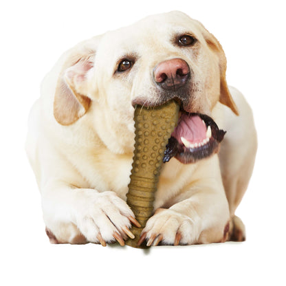 Nylabone Healthy Edibles AllNatural Long Lasting Peanut Butter Dog Chew Treats 1 Count, Peanut Butter, XL/Souper  50 Lbs. 1 ct