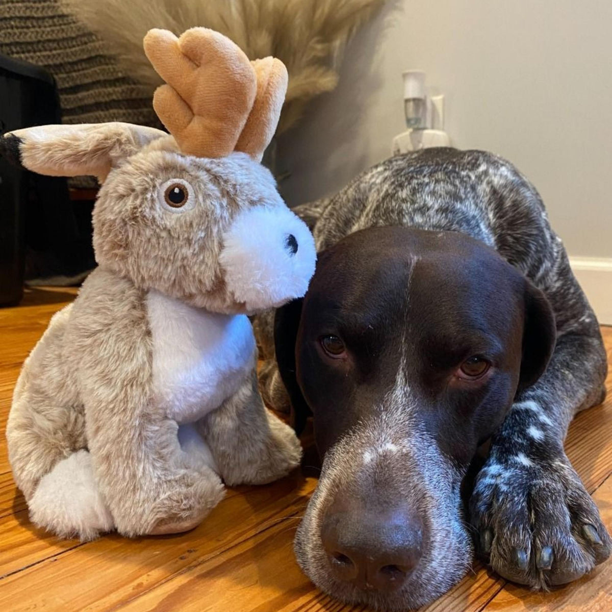 Tall Tails Dog Plush Jackalope Twitchy 9 Inch Default Title