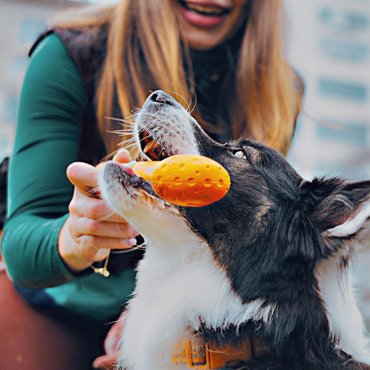 Tall Tails Dog Goat Bone Orange 9 Inch Default Title