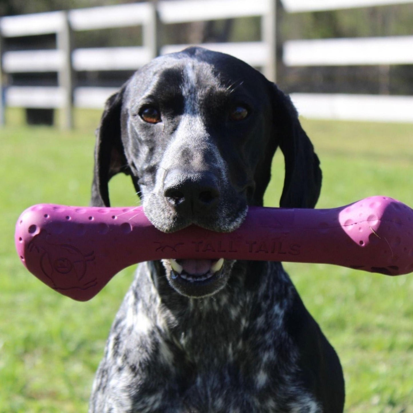 Tall Tails Dog Goat Bone Purple 12 Inch Default Title