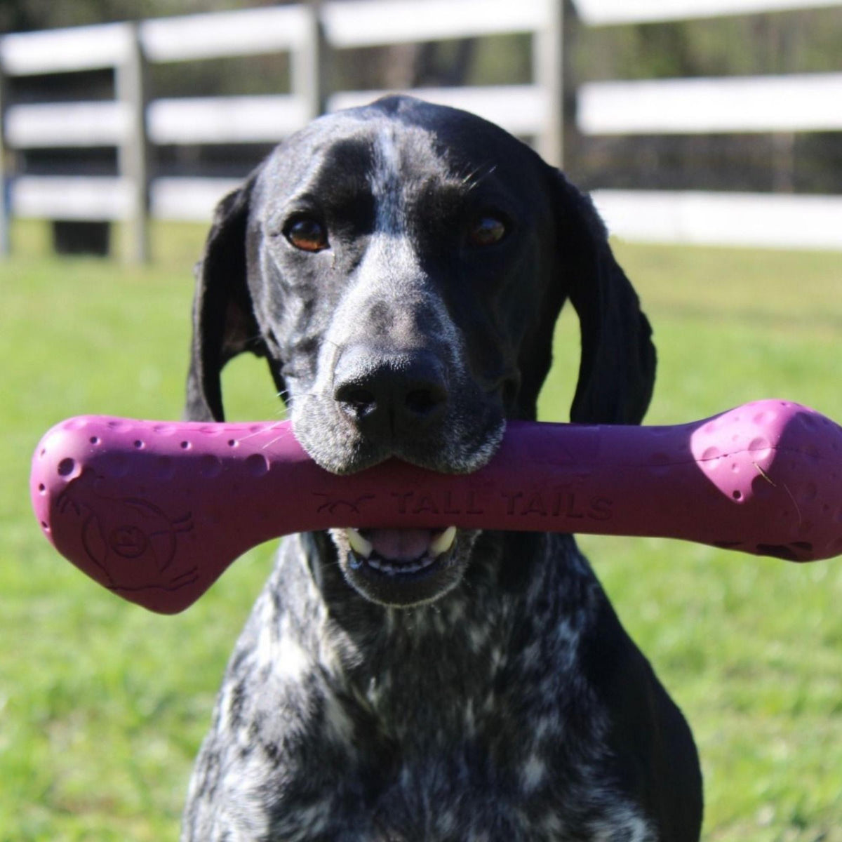 Tall Tails Dog Goat Bone Purple 12 Inch Default Title