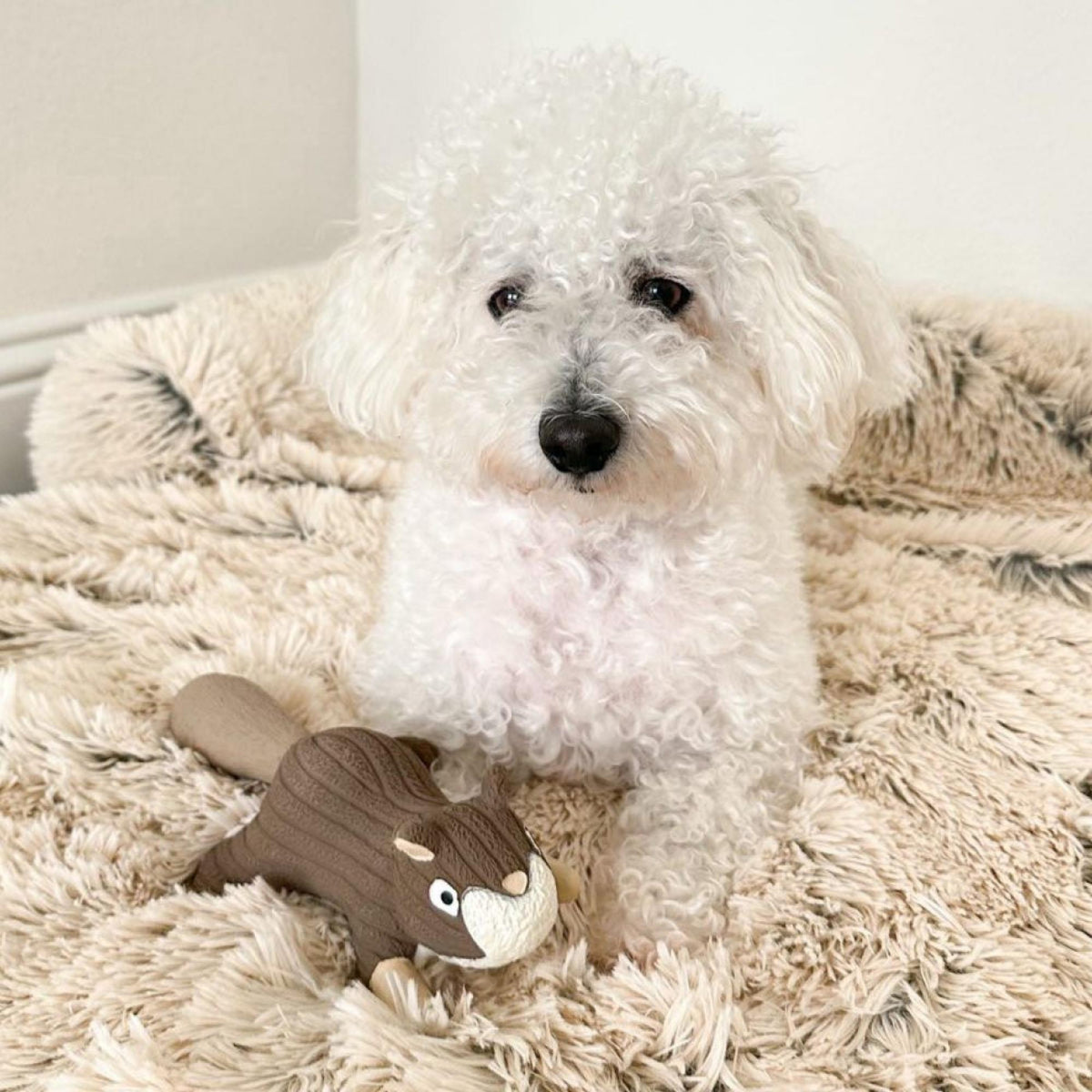 Tall Tails Dog Squeaker Latex Squirrel 8 Inch Default Title