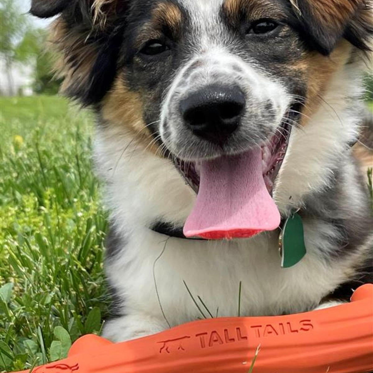 Tall Tails Dog Goat Fetch Stick Orange 10 Inch Default Title