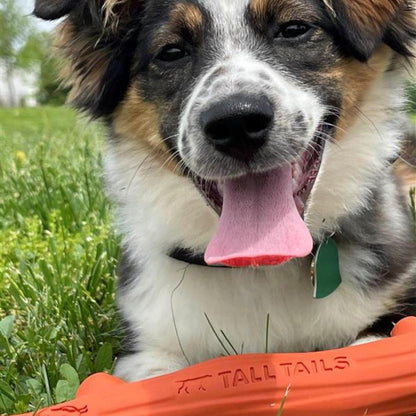 Tall Tails Dog Goat Fetch Stick Orange 10 Inch Default Title