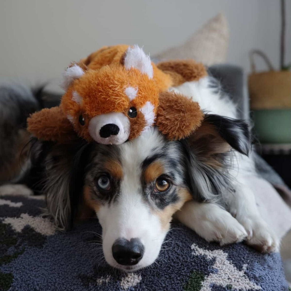 Tall Tails Dog Stuffless Red Panda 16 Inches