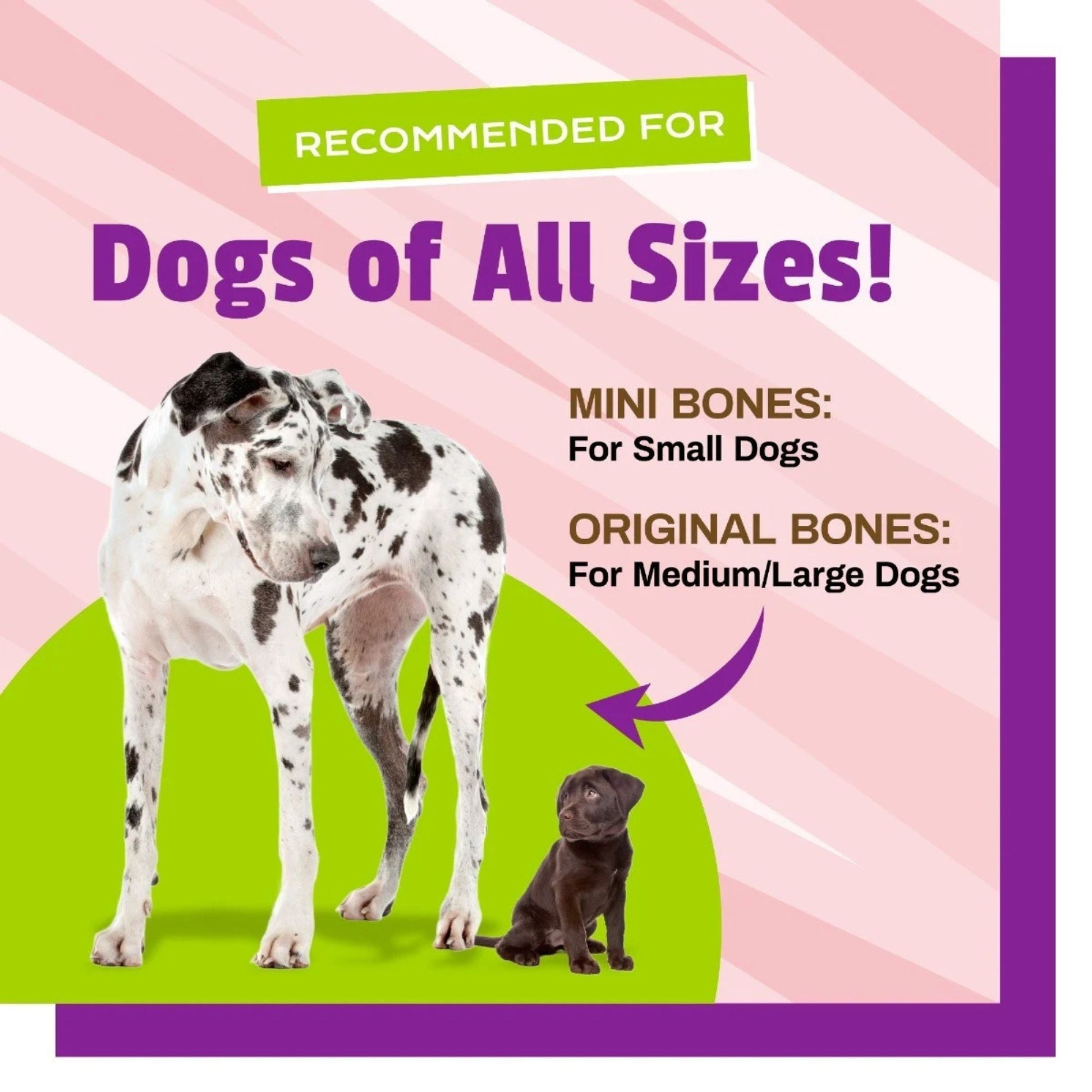Pet Naturals Dog Busy Butter Balanced Belly Bones Small