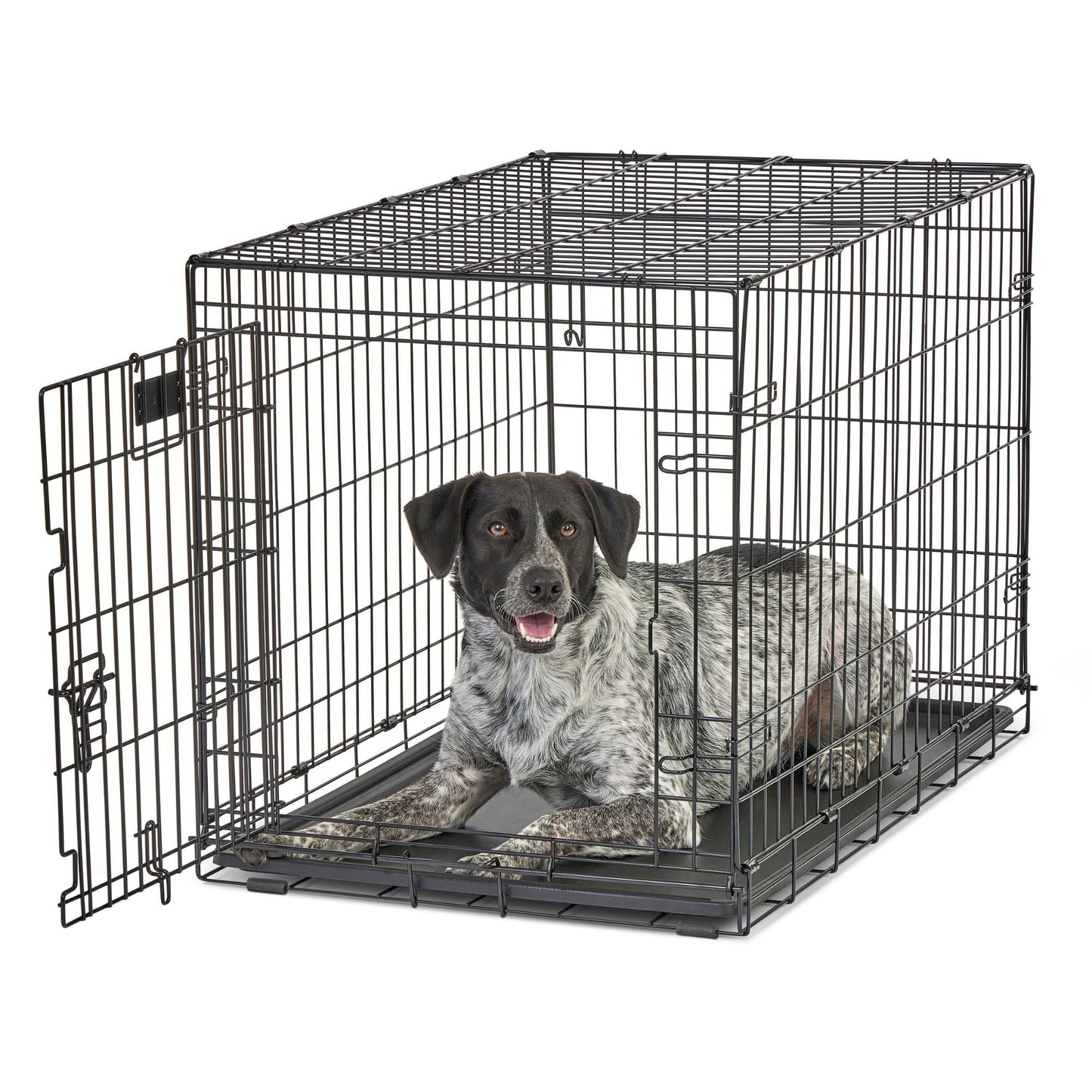 MidWest Homes for Pets Contour Single Door Dog Crate 1ea/36in.