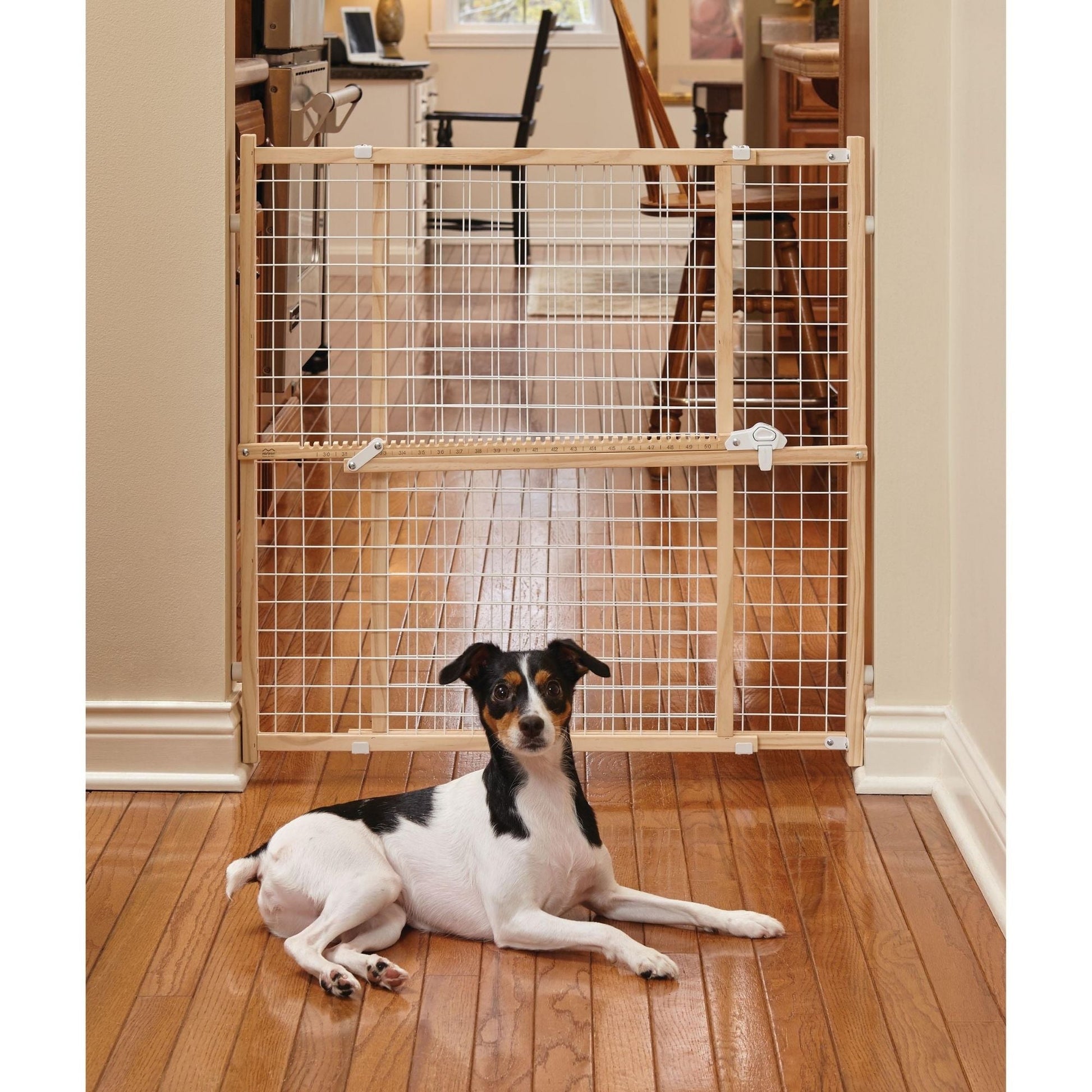 MidWest Homes for Pets Wood Pet Gate w/ Wire Mesh 1ea/32in.