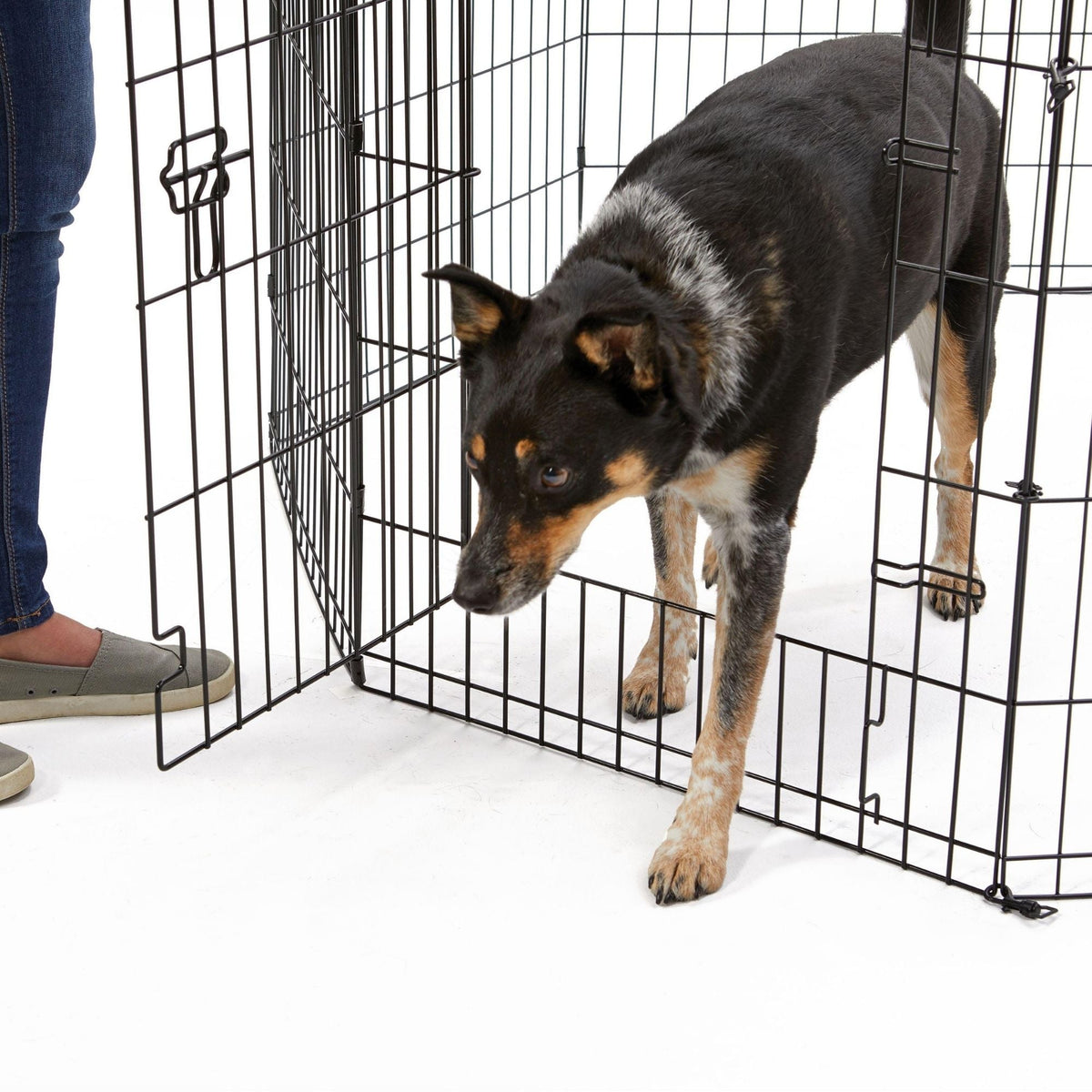 MidWest Homes for Pets Contour Exercise Pen w/ Door 1ea/30in.