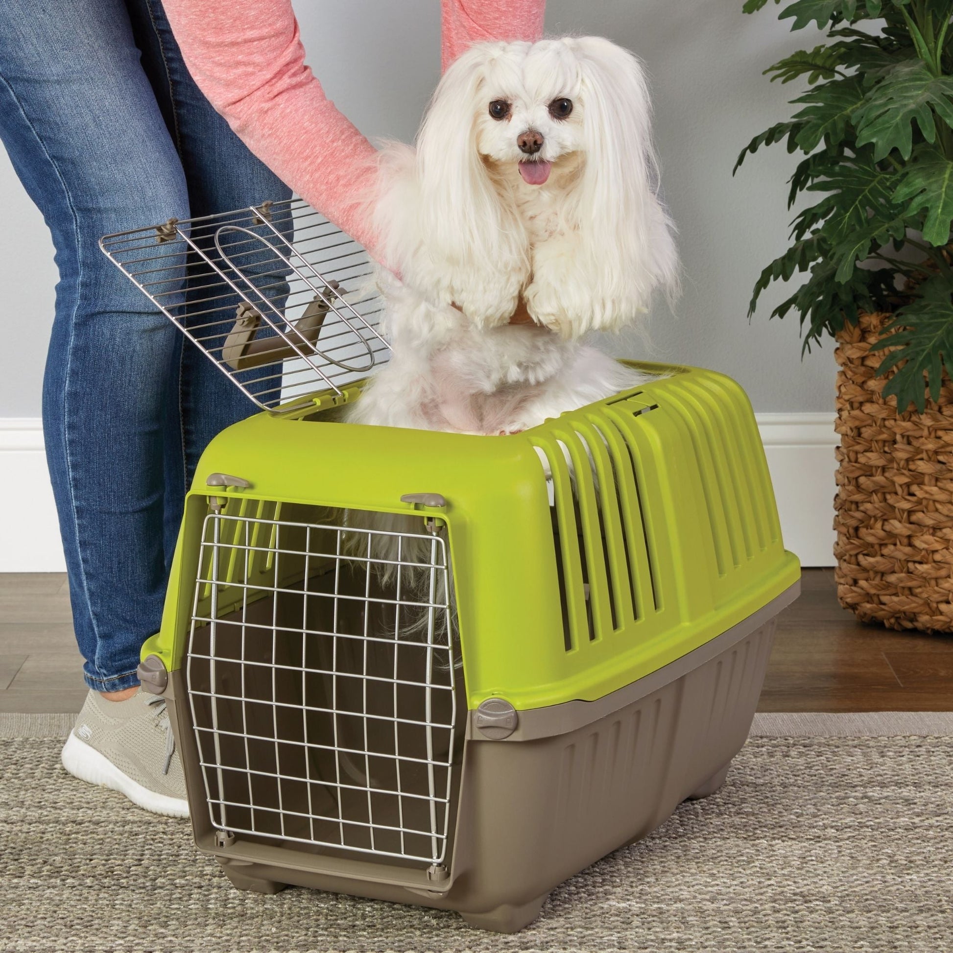 MidWest Homes for Pets Spree Top Loading Dog Carrier Green 1ea/24in.