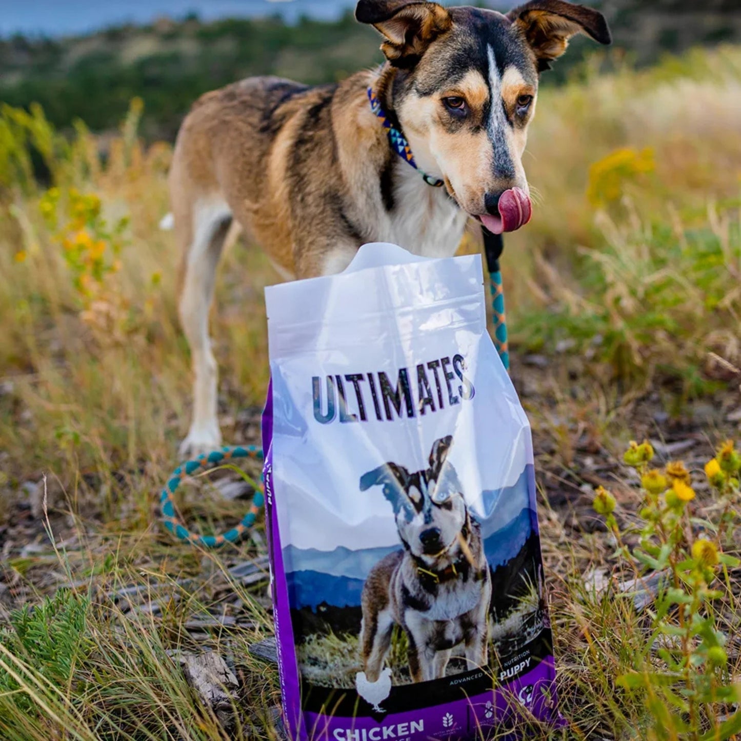 Ultimates Puppy Dry Dog Food Chicken Meal & Rice 1ea/5 lb