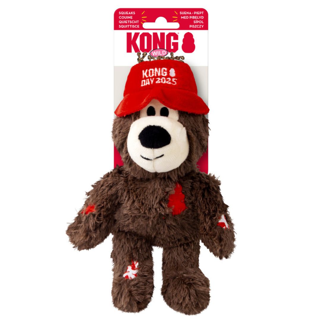 KONG Wild Knots KONG Day 2025 Bear Dog Toy Assorted  MD/LG