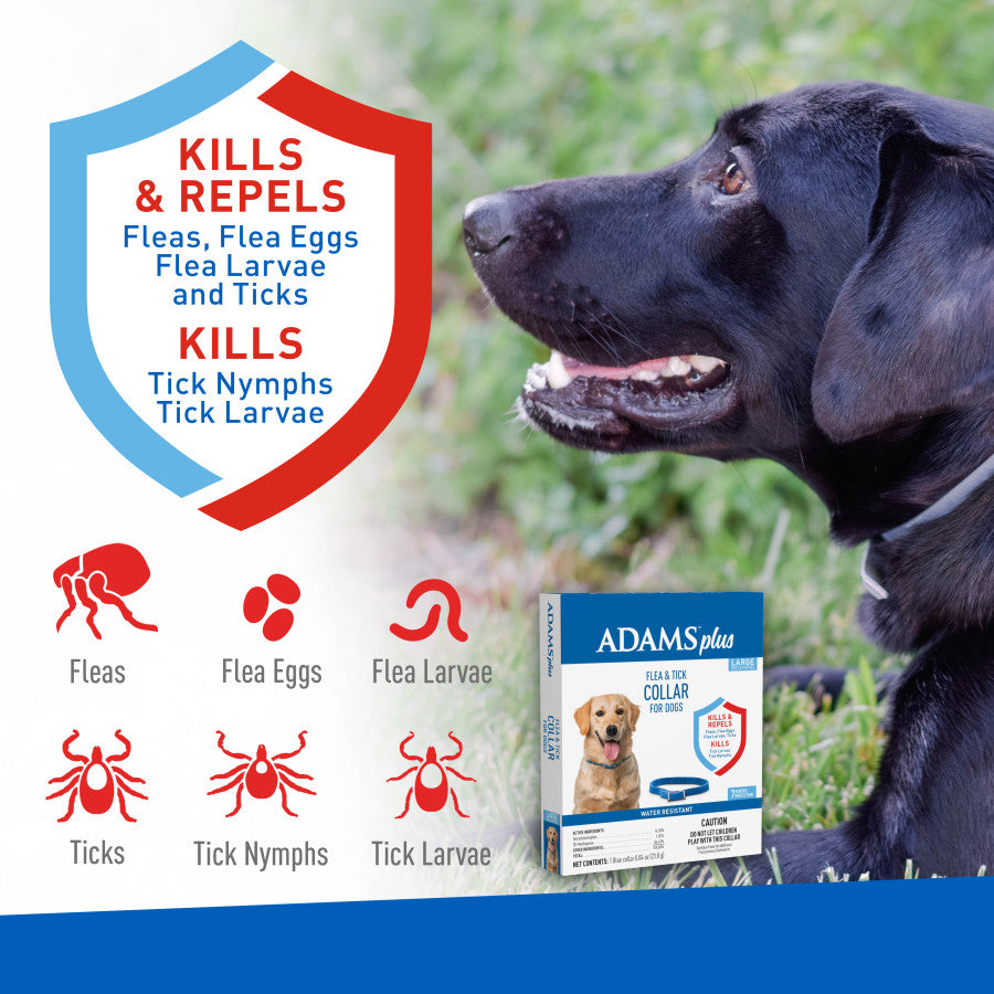 Adams Plus Flea  Tick Collar for Dogs, Small 1ea/Large