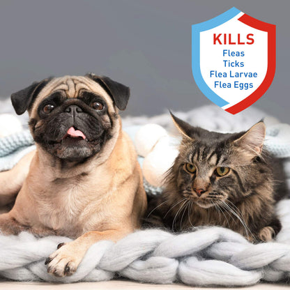 Adams Flea  Tick Dog and Cat Spray 1ea/16 fl oz