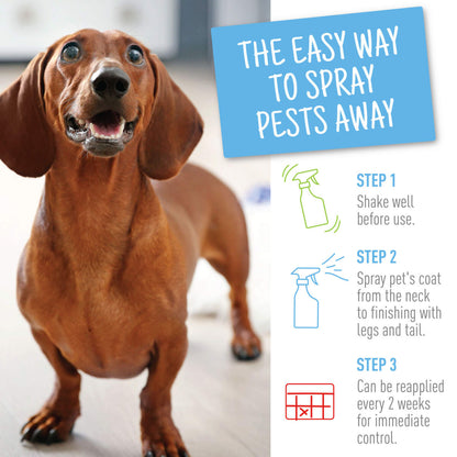 Adams Flea  Tick Dog and Cat Spray 1ea/16 fl oz