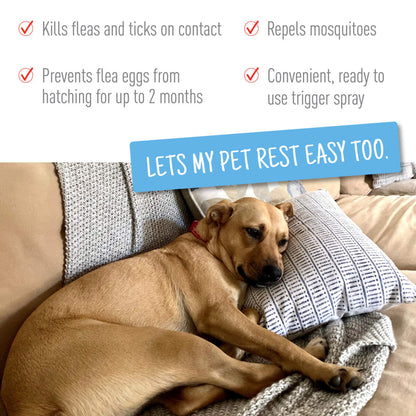 Adams Flea  Tick Dog and Cat Spray 1ea/16 fl oz