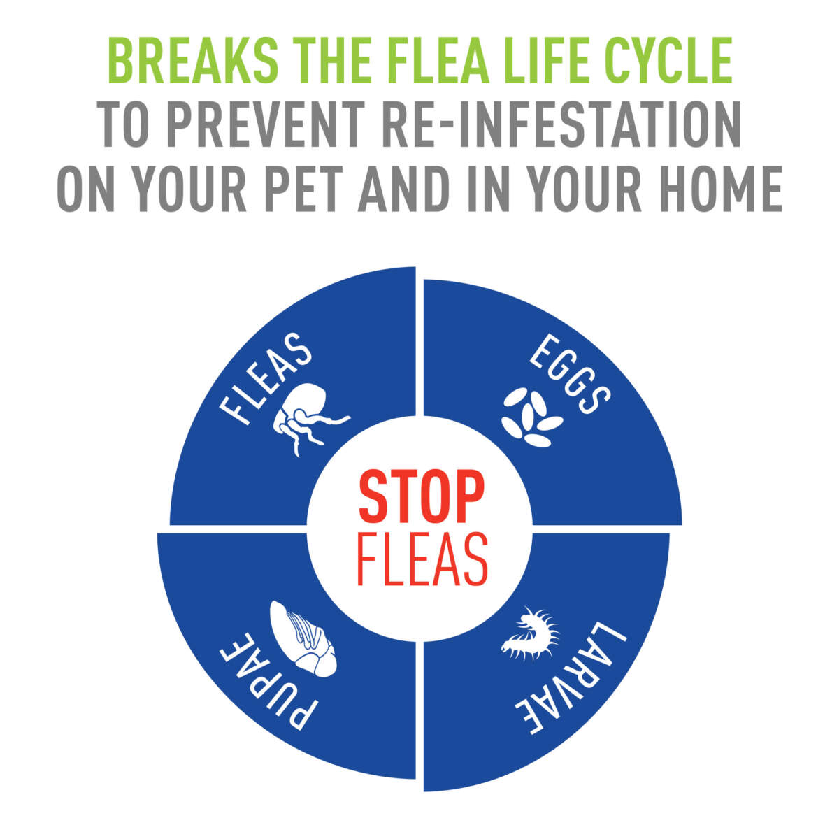 Adams Flea  Tick Dog and Cat Spray 1ea/32 fl oz