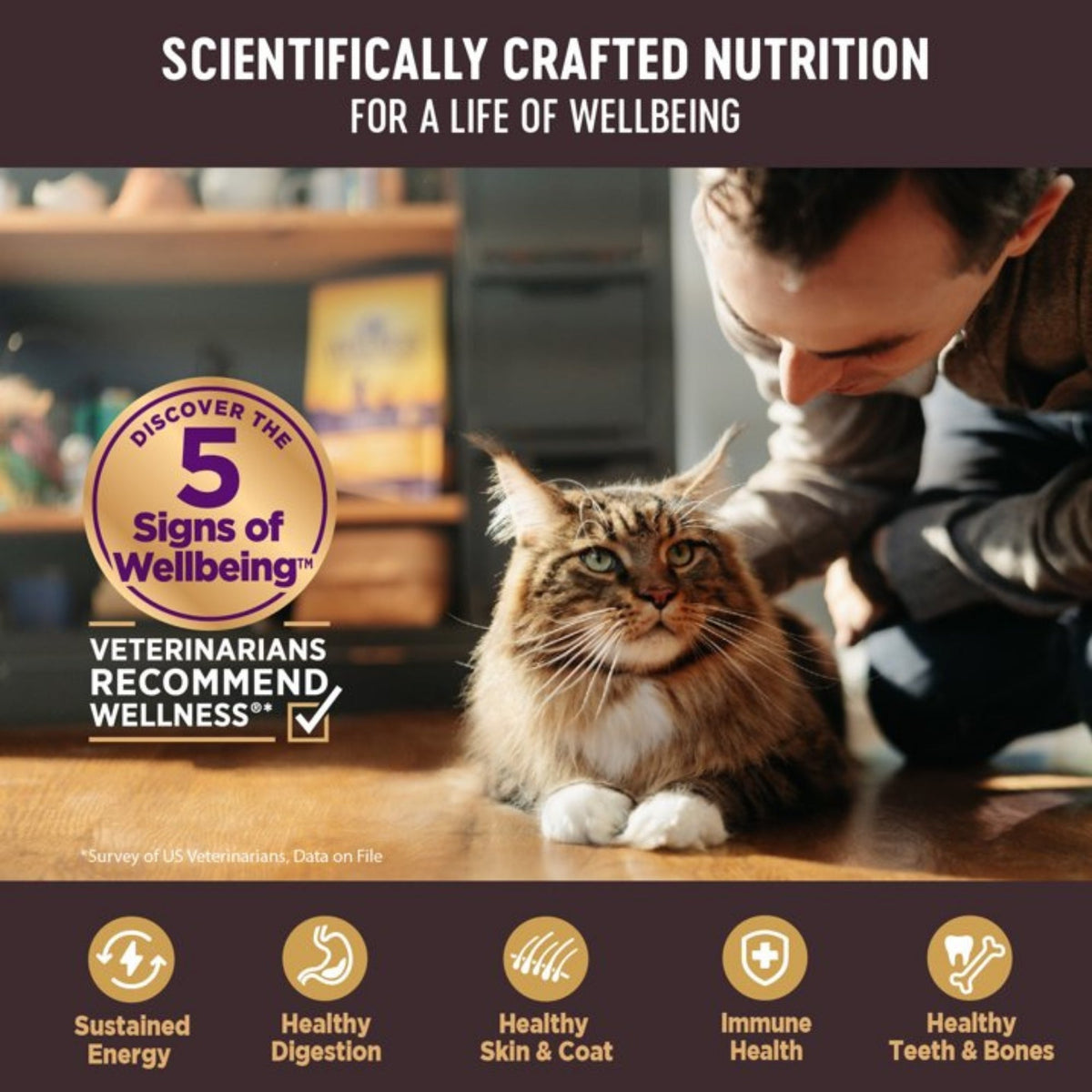 Wellness Cat Core Signature Select Flaked Skipjack Tuna Shrimp Entrée 2.8oz. (Case of 12)