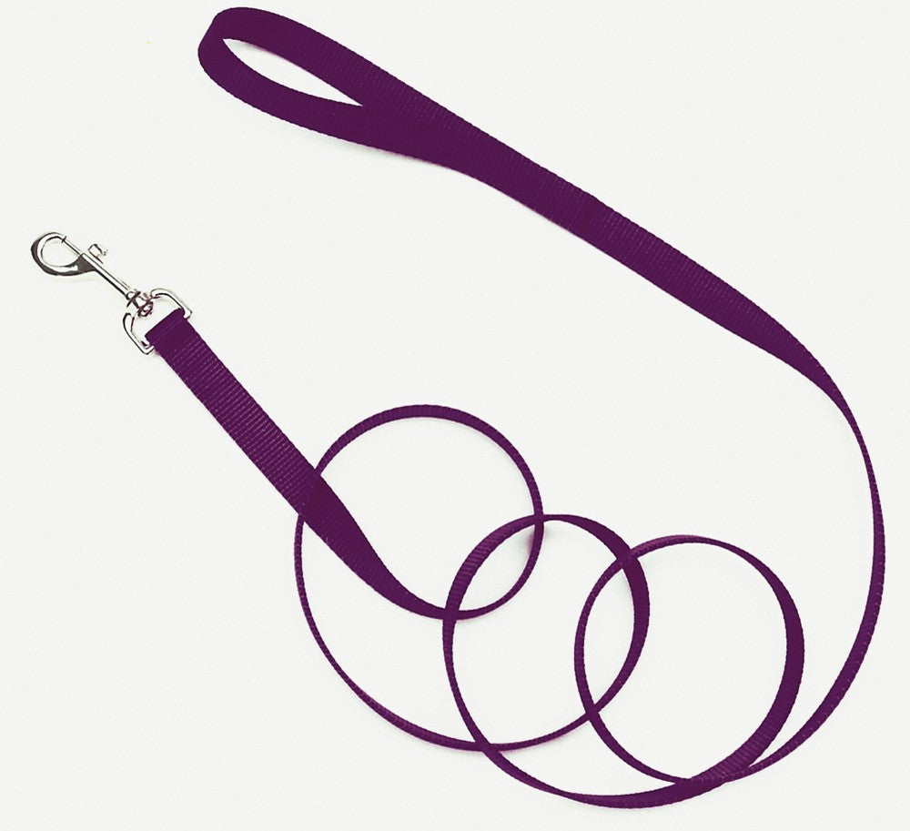 Coastal SinglePly Nylon Dog Leash Purple, 1ea/5/8 In X 6 ft