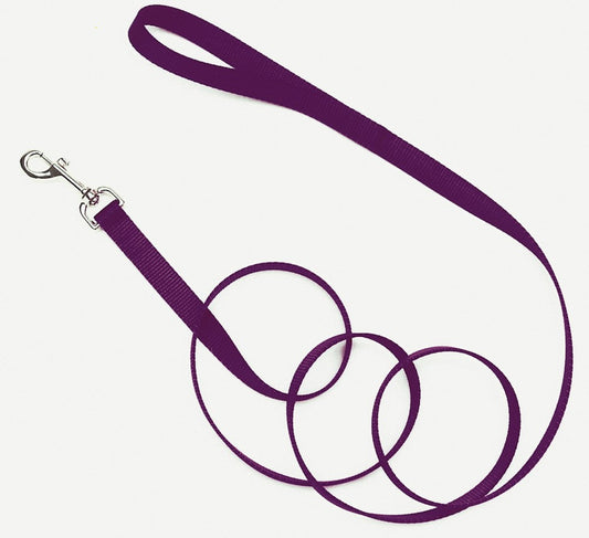 Coastal SinglePly Nylon Dog Leash Purple, 1ea/3/4 In X 6 ft